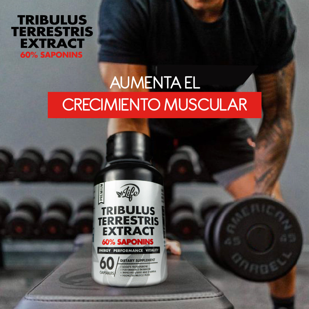 TRIBULUS TERRESTRIS (POTENCIA EL RENDIMIENTO FÍSICO Y SEXUAL DEL HOMBRE)
