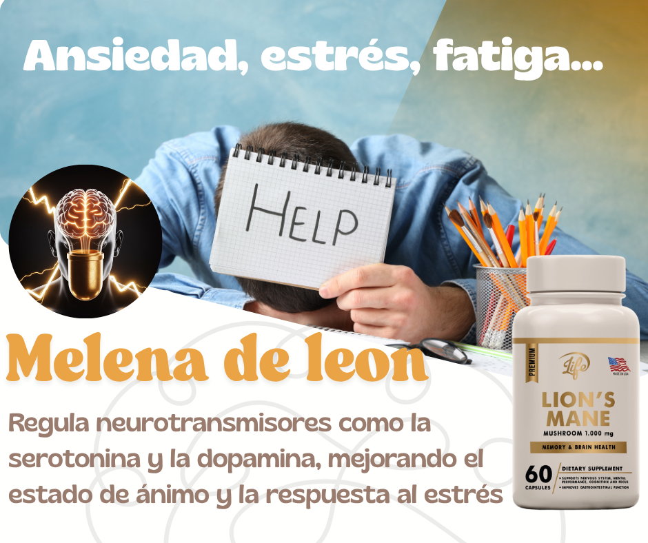 MELENA DE LEÓN (MEJORA LA FUNCIÓN COGNITIVA, FAVORECE LA MEMORIA Y LA CONCENTRACIÓN)