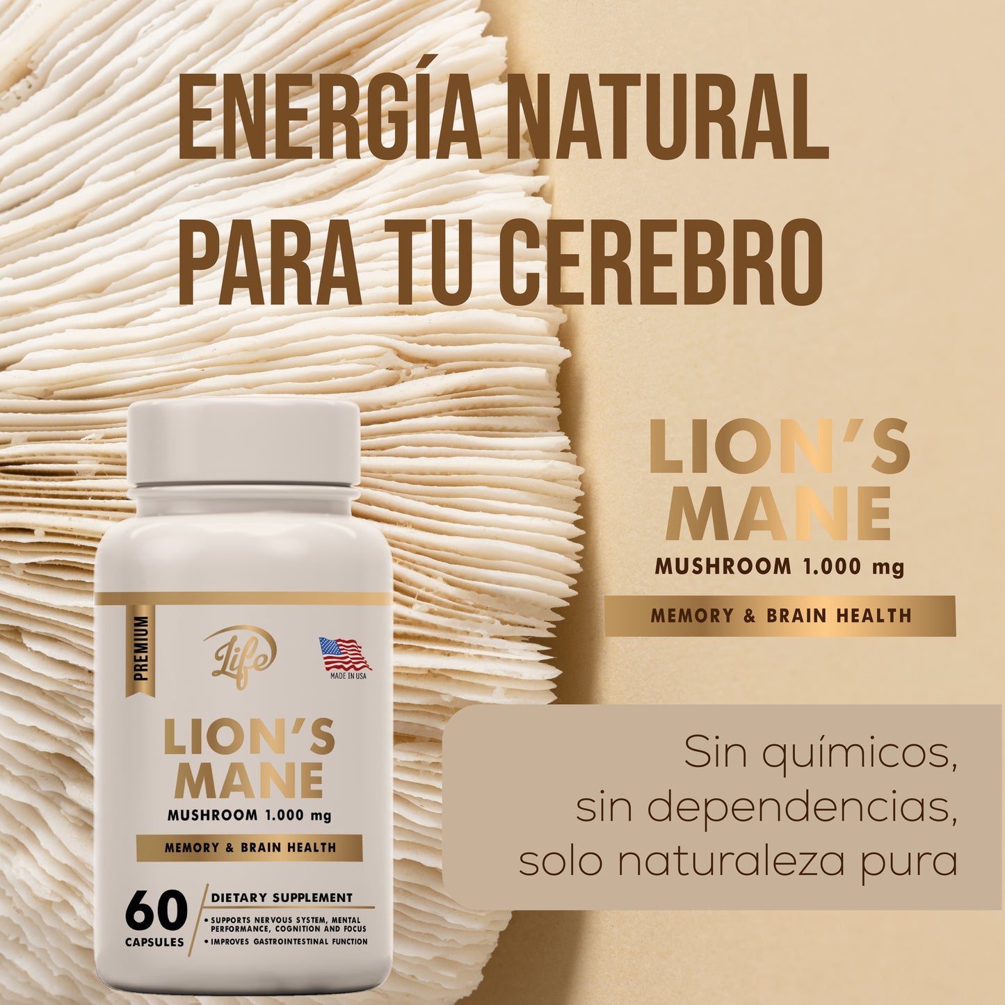 MELENA DE LEÓN (MEJORA LA FUNCIÓN COGNITIVA, FAVORECE LA MEMORIA Y LA CONCENTRACIÓN)