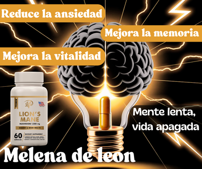 MELENA DE LEÓN (MEJORA LA FUNCIÓN COGNITIVA, FAVORECE LA MEMORIA Y LA CONCENTRACIÓN)